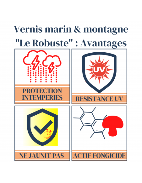 Vernis marin & montagne "Le Robuste" 1919 By MAULER Avantages